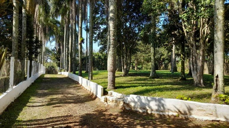 FP 100 TUAH512_2-3117007 - Adhemar José Mazzeti Exclusividades FP 100 TUAH512_2-3117007 - Adhemar José Mazzeti Exclusividades