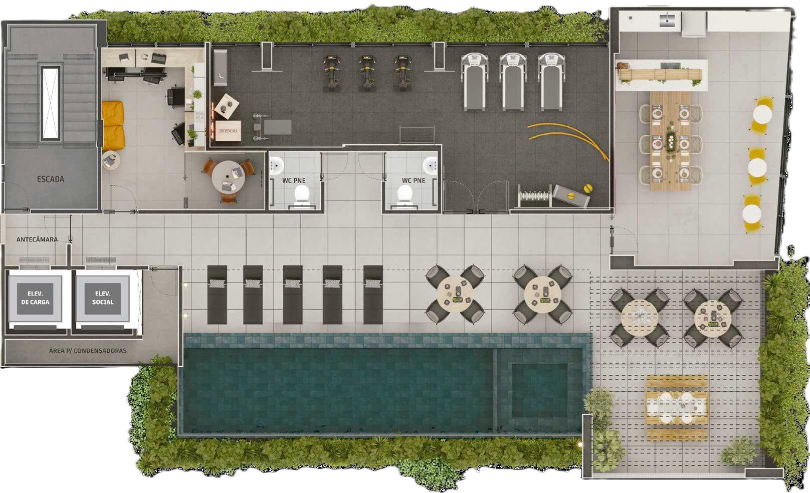 Derby Central - Max Plural Derby Central - Max Plural