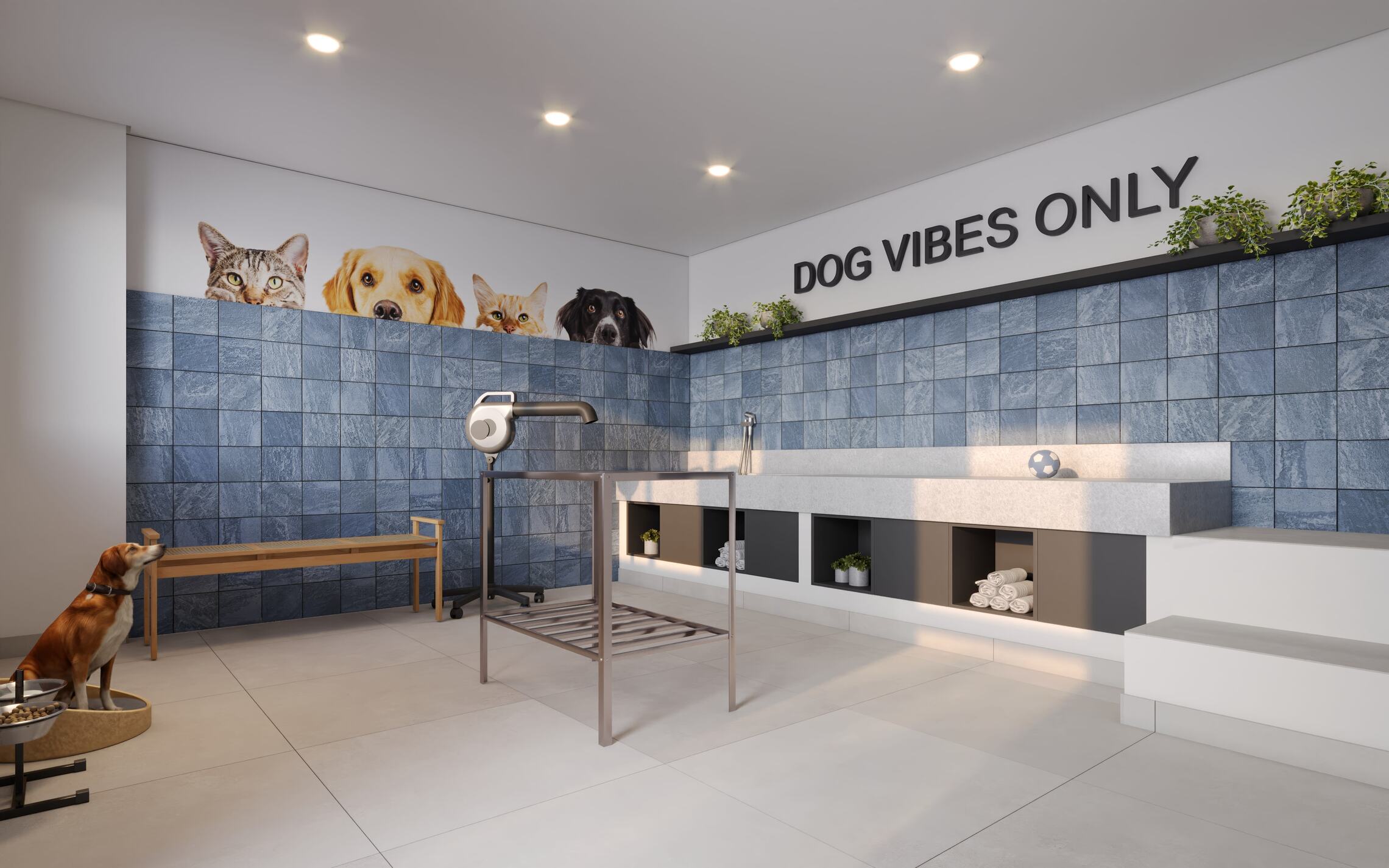 Mérito Belenzinho - Cury SP