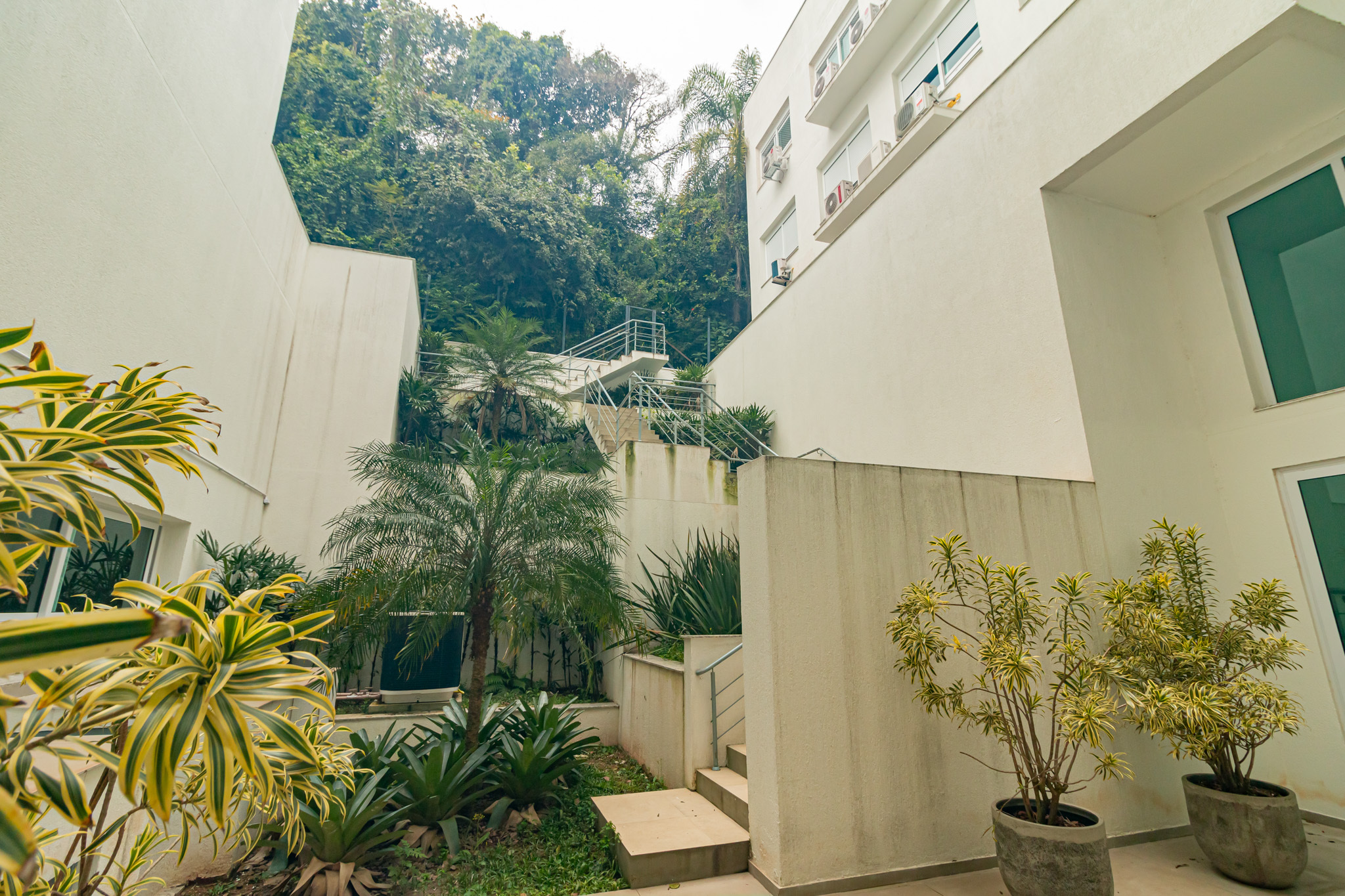 Jardim