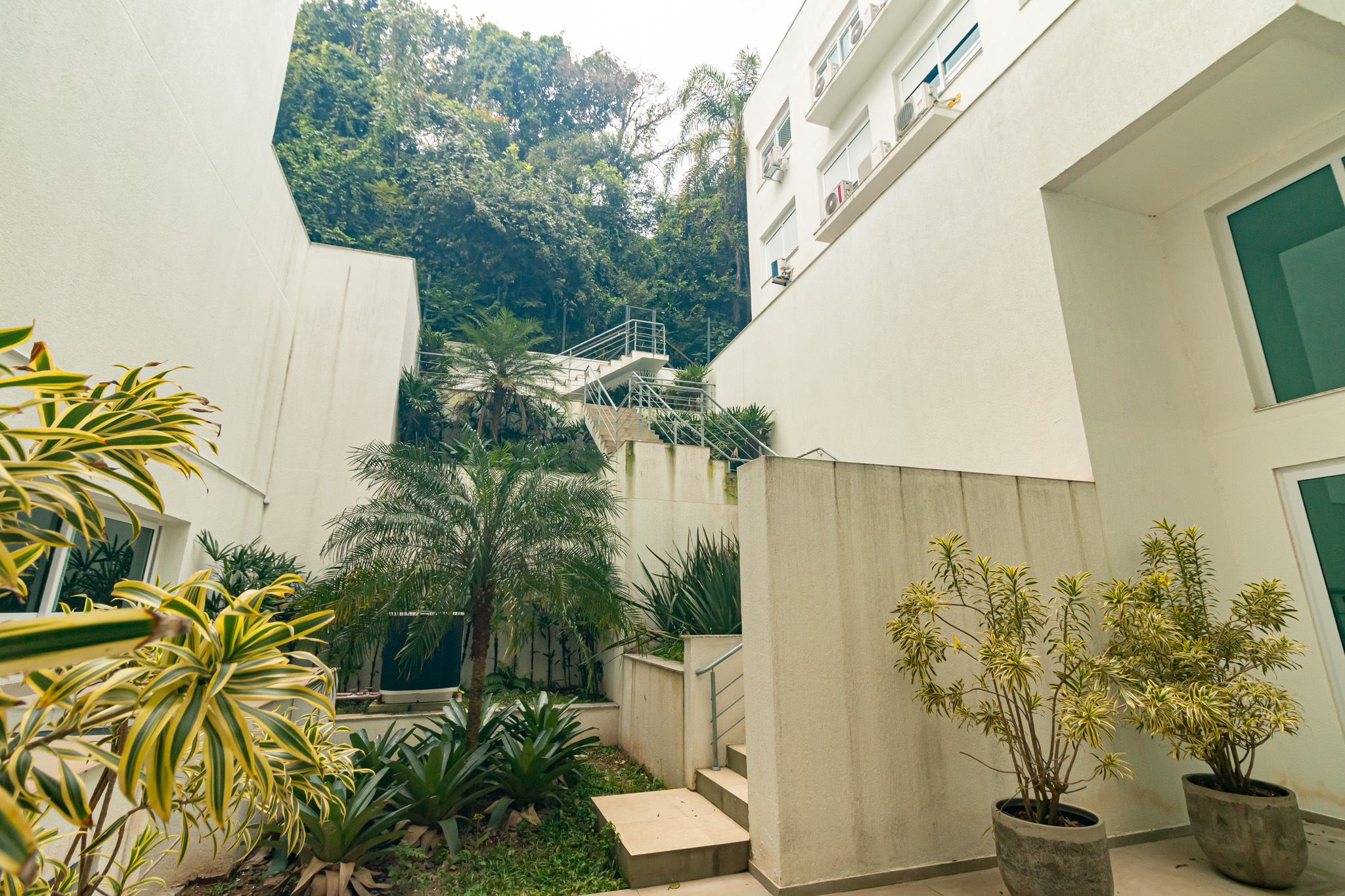 Jardim