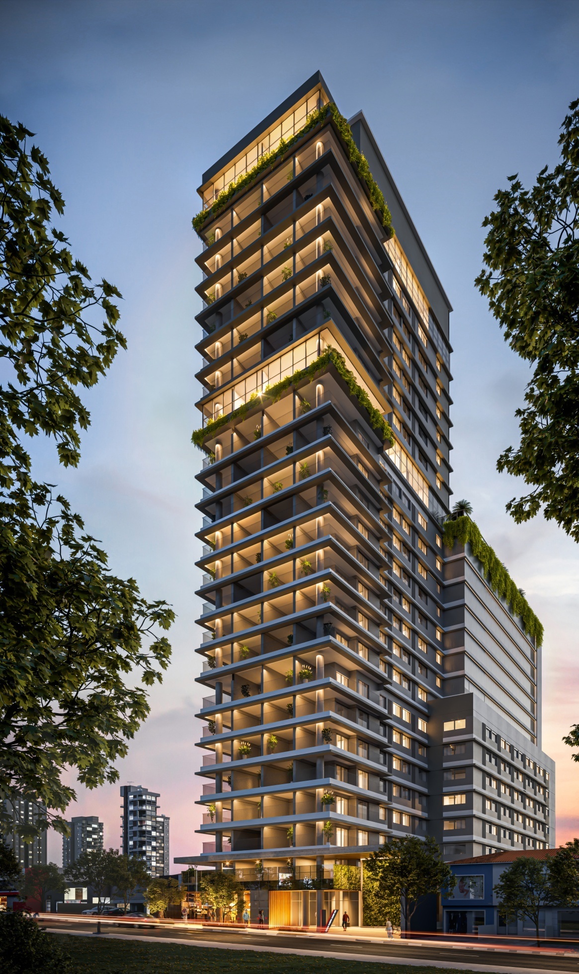 Vitacon Maestro Cardim - NR