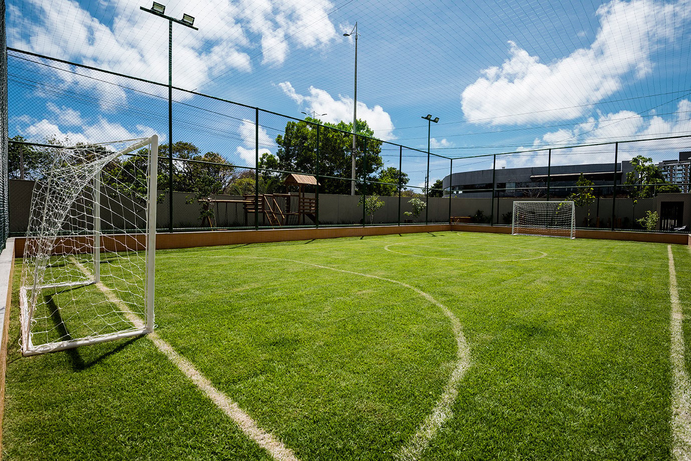 Wellington Barreto - Alliance Wellington Barreto - Alliance