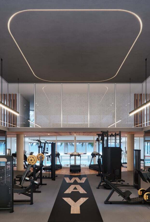 Nai - Alliance Nai - Alliance