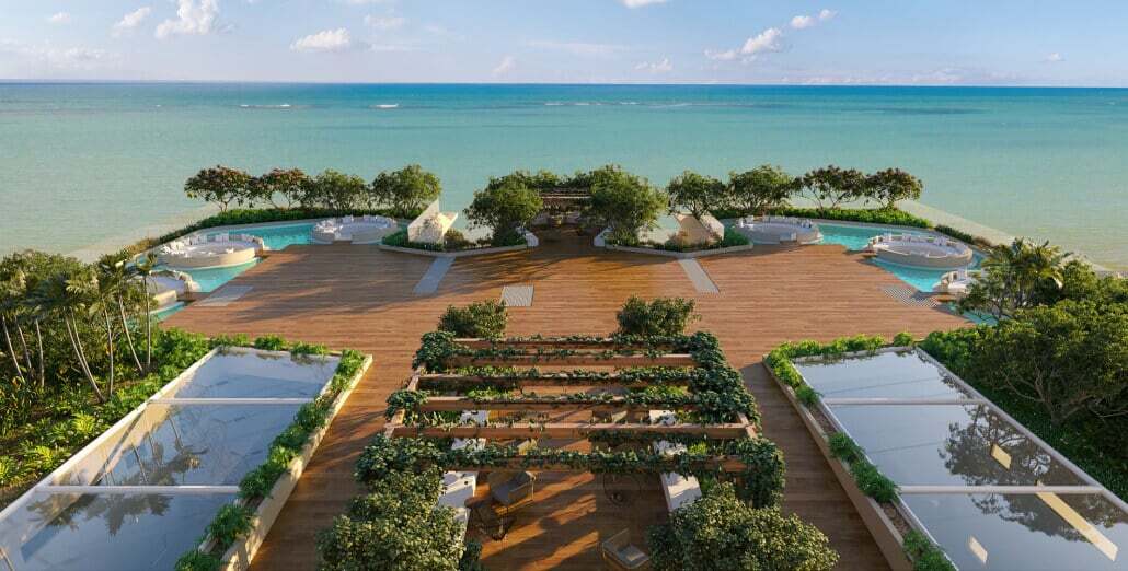 Nai - Alliance Nai - Alliance