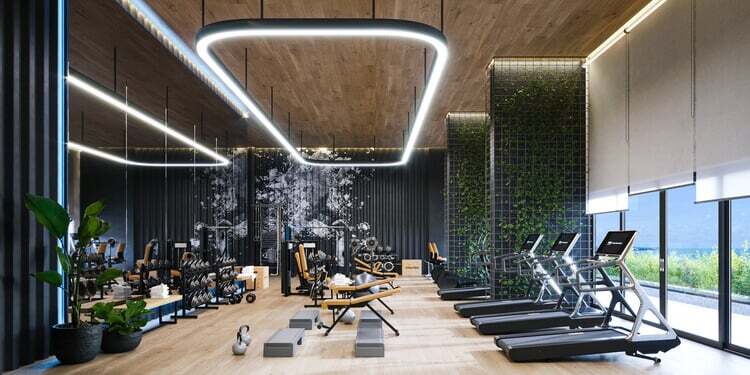 Horizon - Alliance Horizon - Alliance