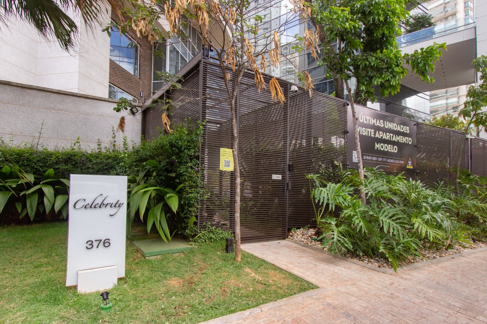 Celebrity - Kauffmann