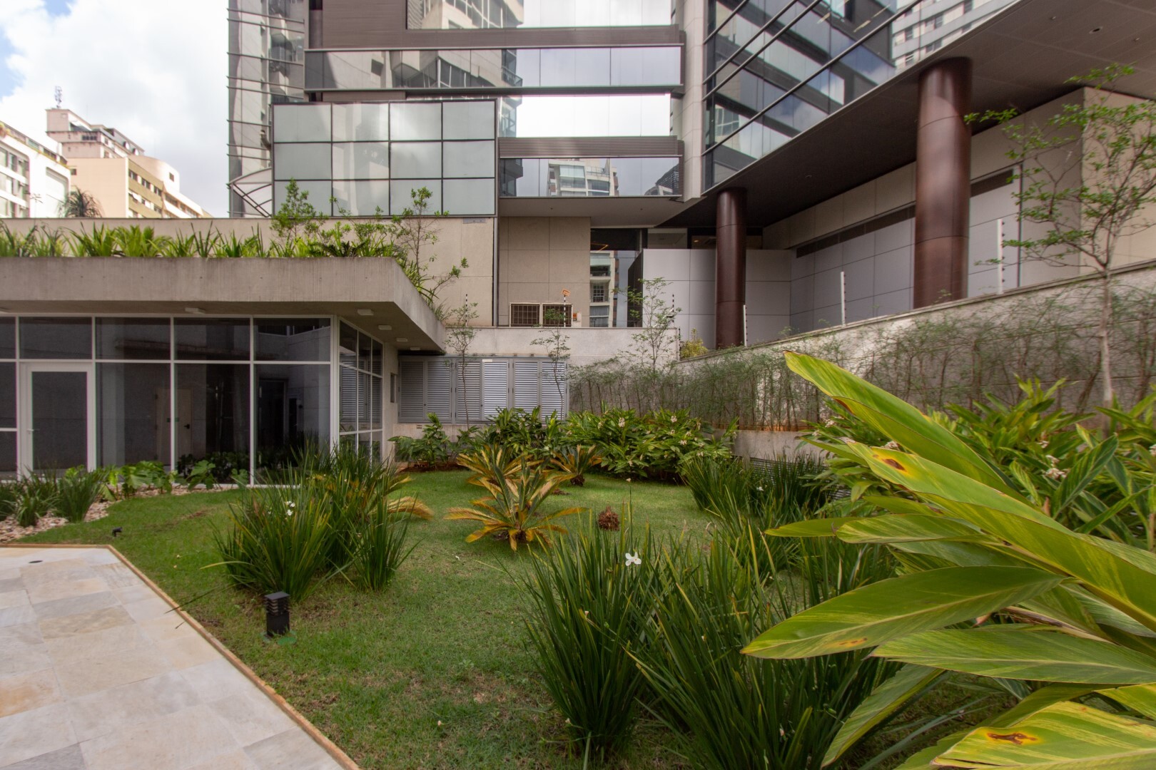 Celebrity - Kauffmann