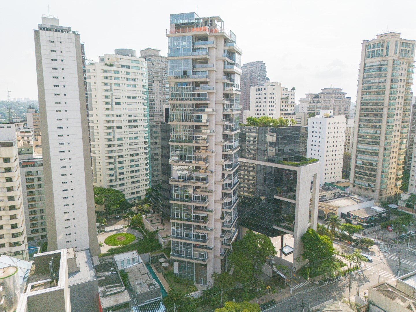 Celebrity - Kauffmann