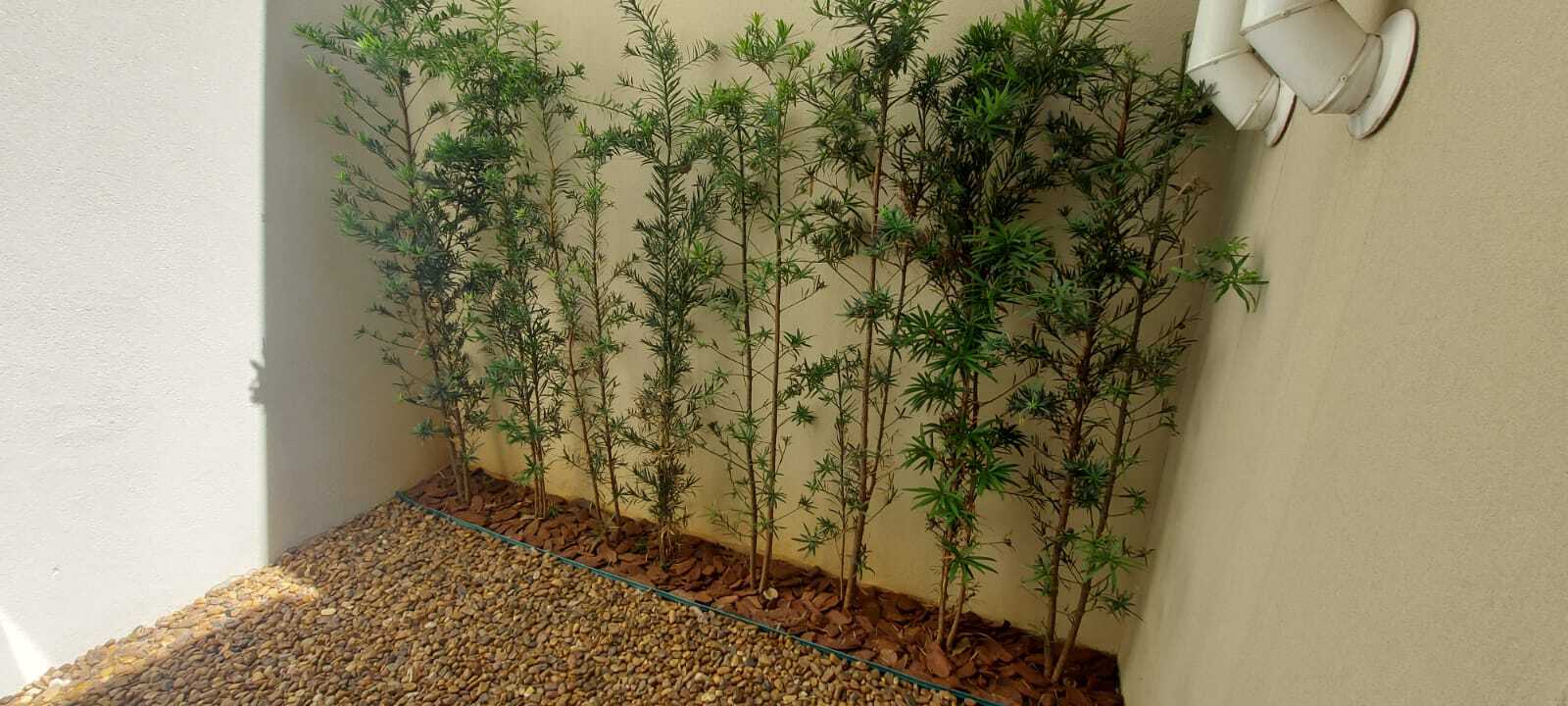 The Houses Pignatari - Epson Engenharia