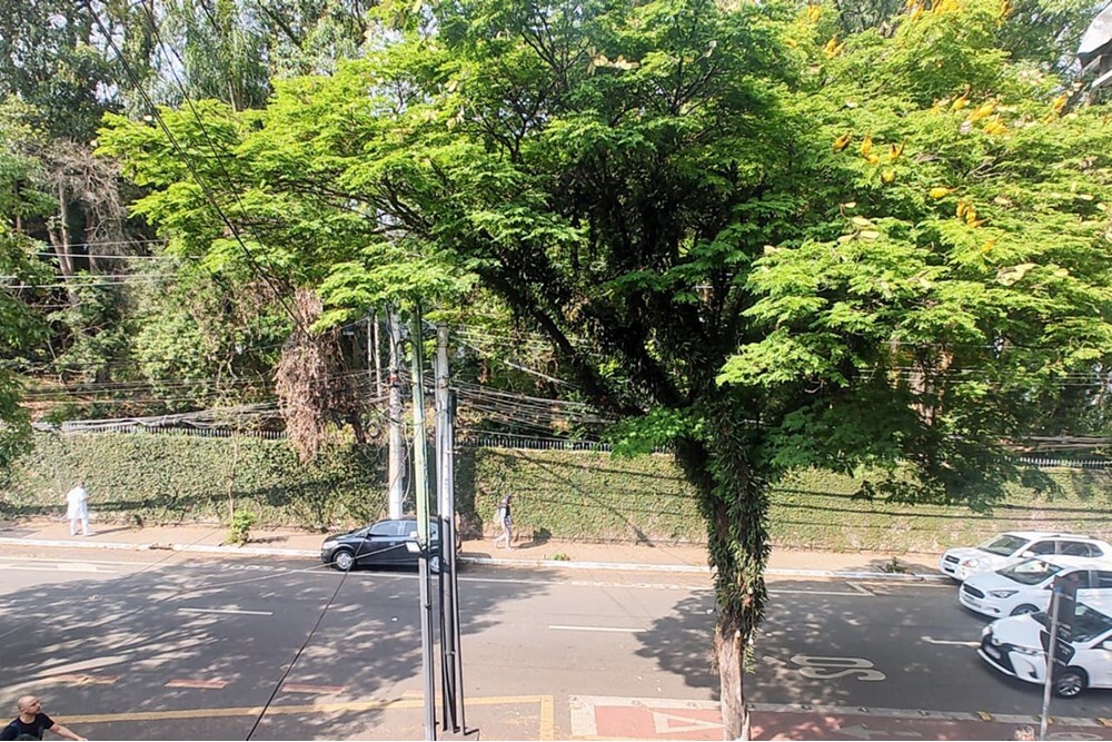 CSA(SVD 926 Prédio 601371031-31 - REMAX Boutique Exclusividades