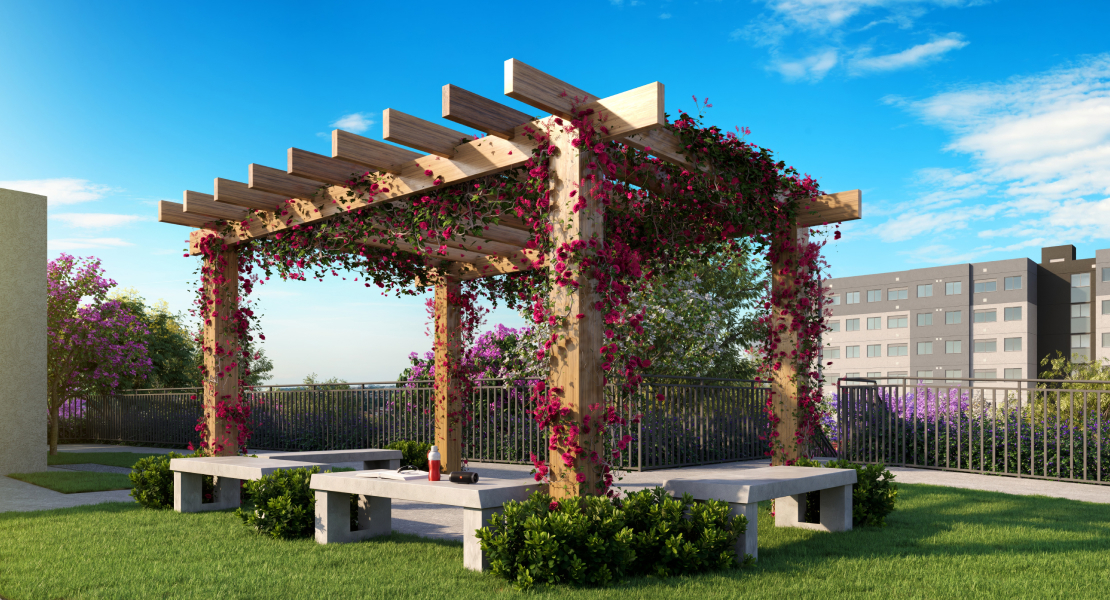 Viva Parque do Carmo - Fase 1 Viva Parque do Carmo - Fase 1