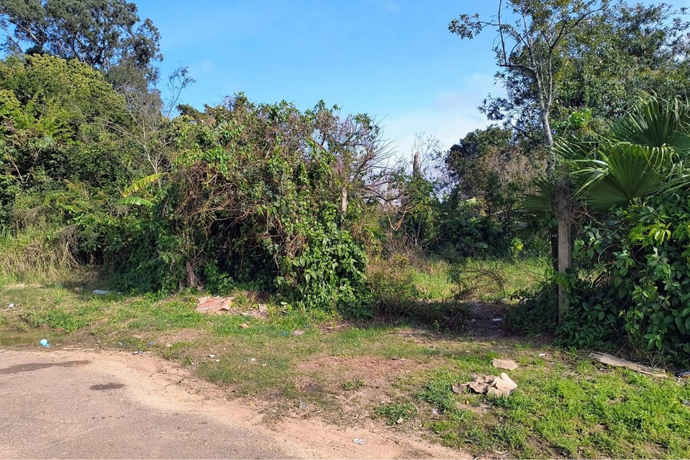 Terreno/Lote Residencial, à venda, 262 m², Eldorado do Sul - Eldorado do Sul — foto 2