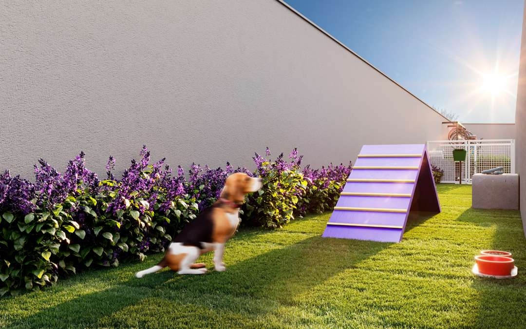 Residencial Multifamiliar de 1 quarto, 25m² no bairro Piqueri, em São Paulo | Eu Corretor