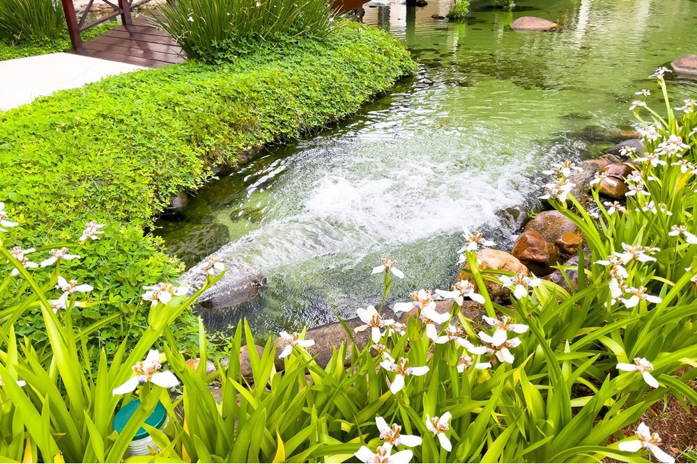 BDPI 114 Apto 601081064-25 - REMAX Lepex Exclusividades