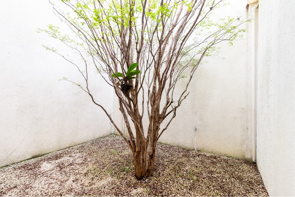 JEGMDS 2738 Prédio 601081064-24 - REMAX Lepex Exclusividades