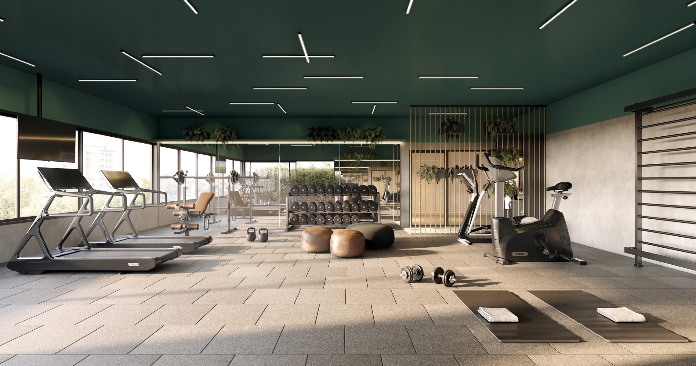 Fitness