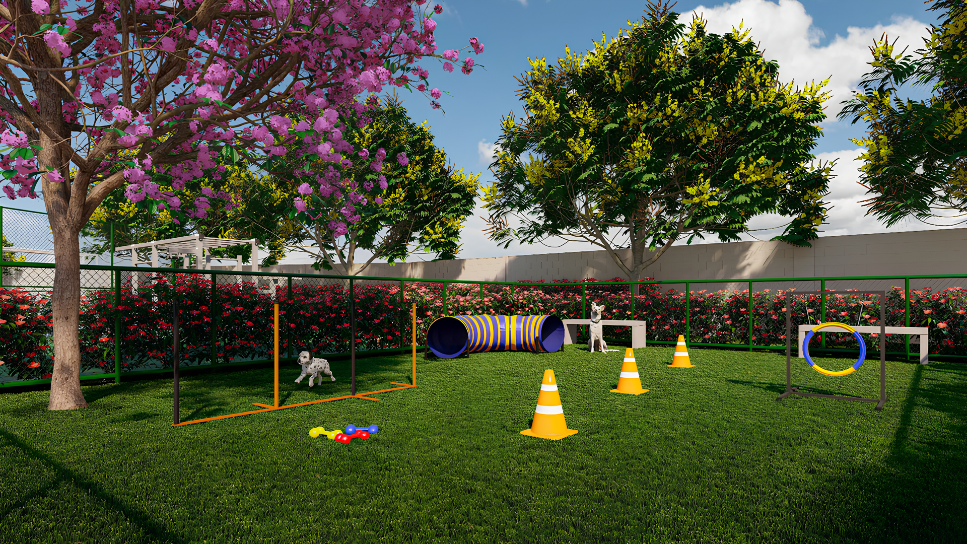 Pet place