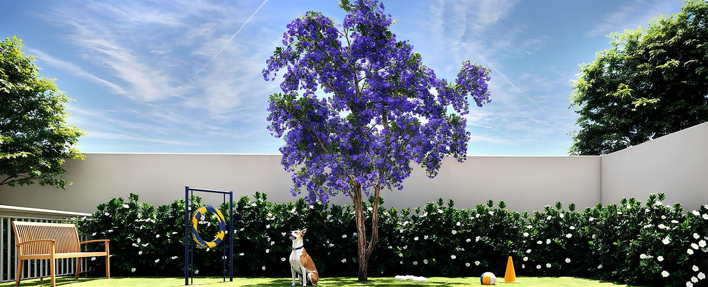 Pet place