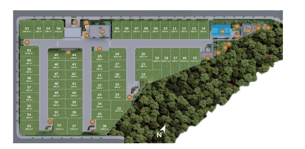 Paseo de Ávila - Canet Junior