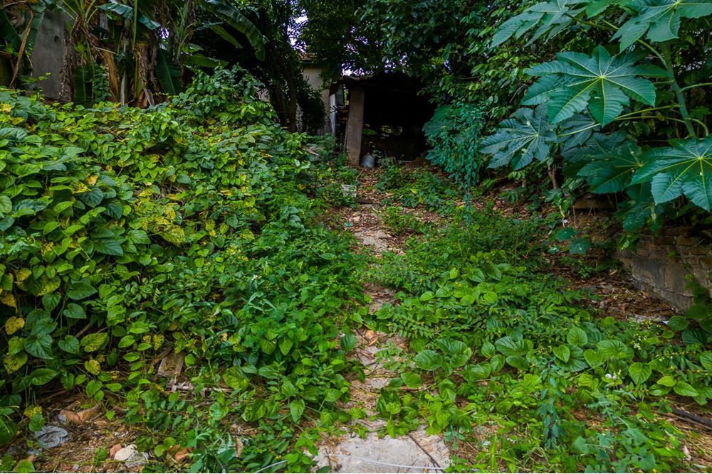 Residencial Multifamiliar de 380m² no bairro Piqueri, em São Paulo | Eu Corretor