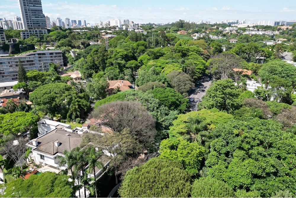 CJR 379 630331071-7 - REMAX Comunità Exclusividades