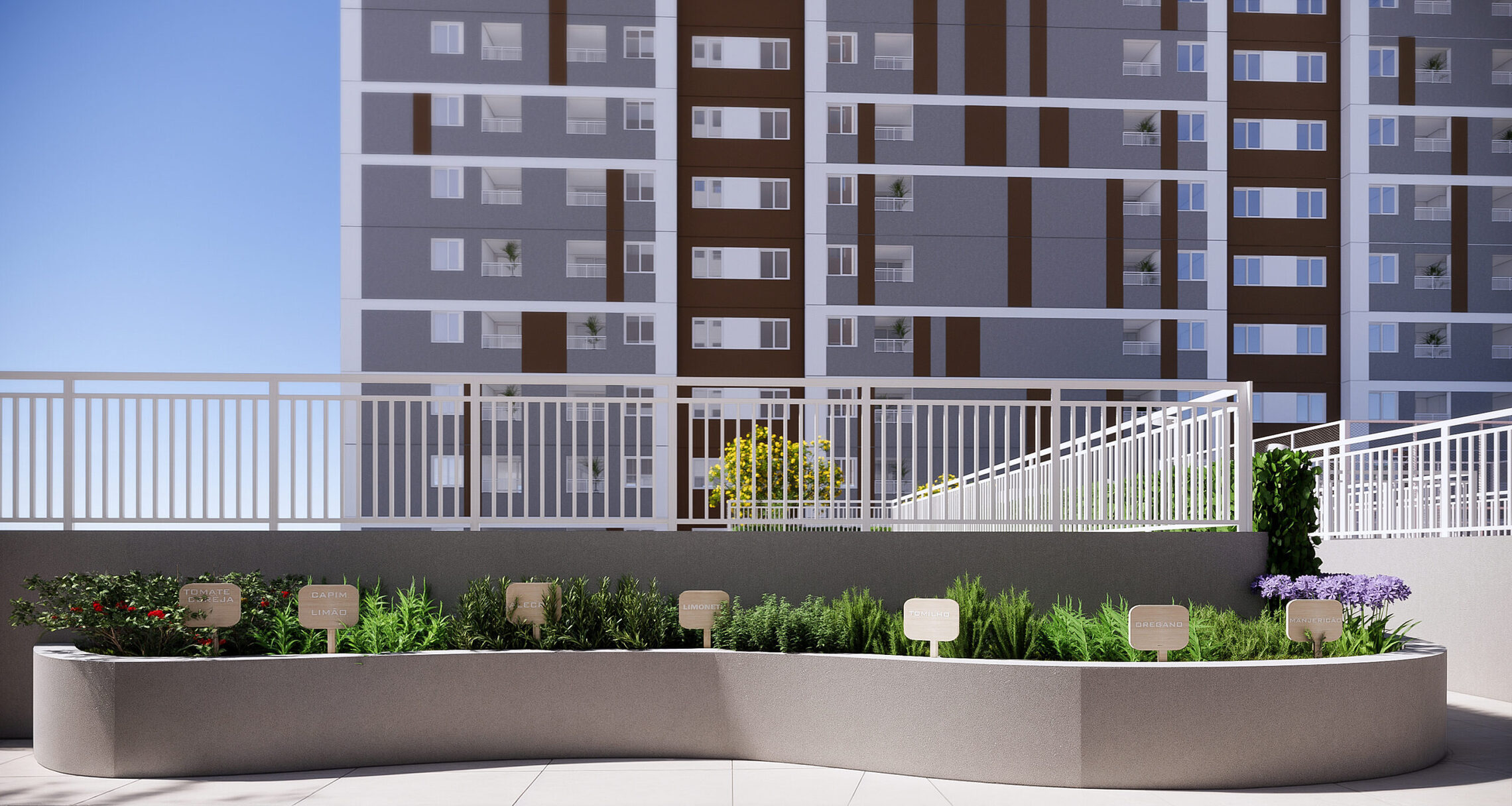 Led Iguatemi - Graal