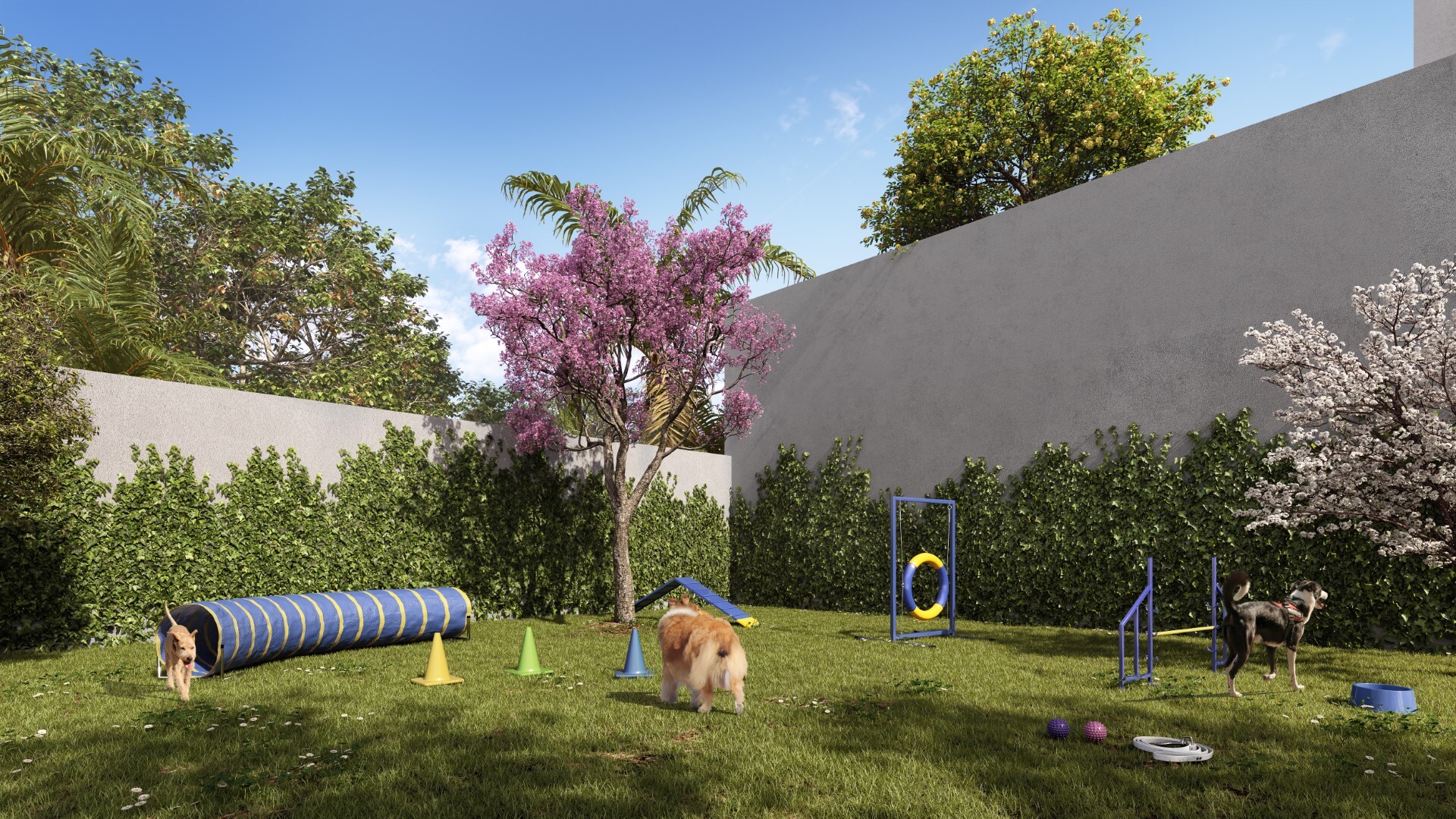 Pet place