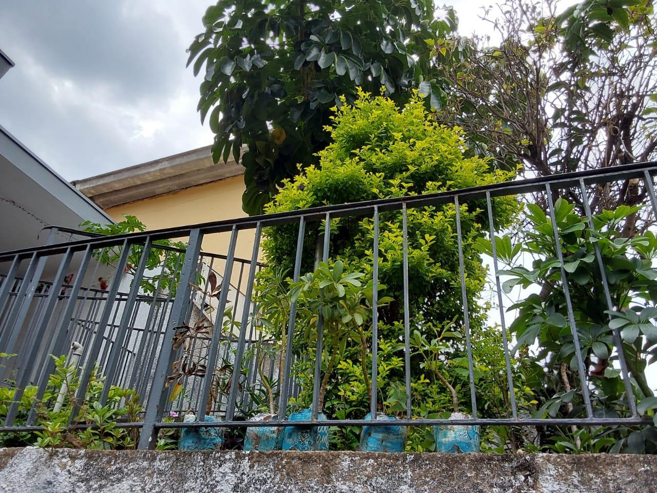 CPD 115 tuah633_2-3415584 - Adhemar José Mazzeti Exclusividades