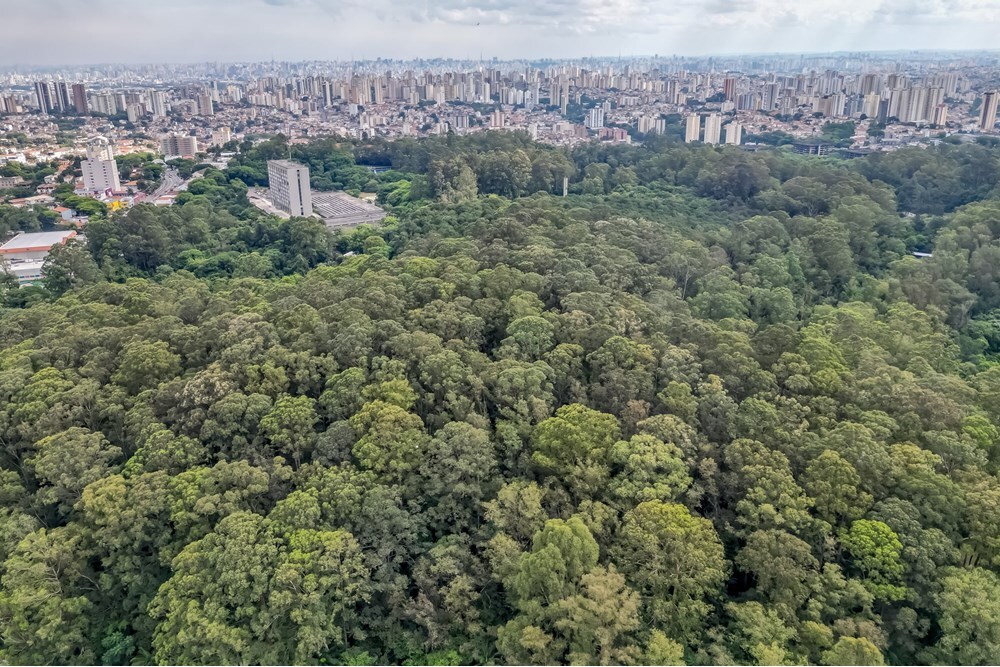 TNC 4211 Apto 602291006-27 - REMAX B12 Exclusividades