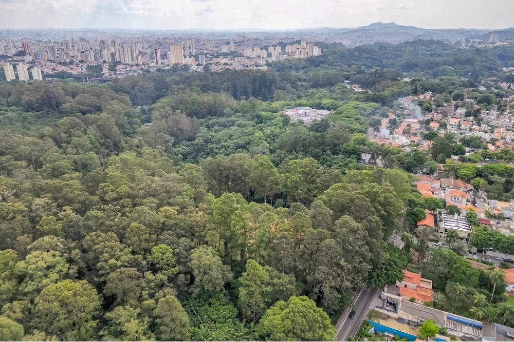 TTJPN 120 Apto 602291006-21 - REMAX B12 Exclusividades