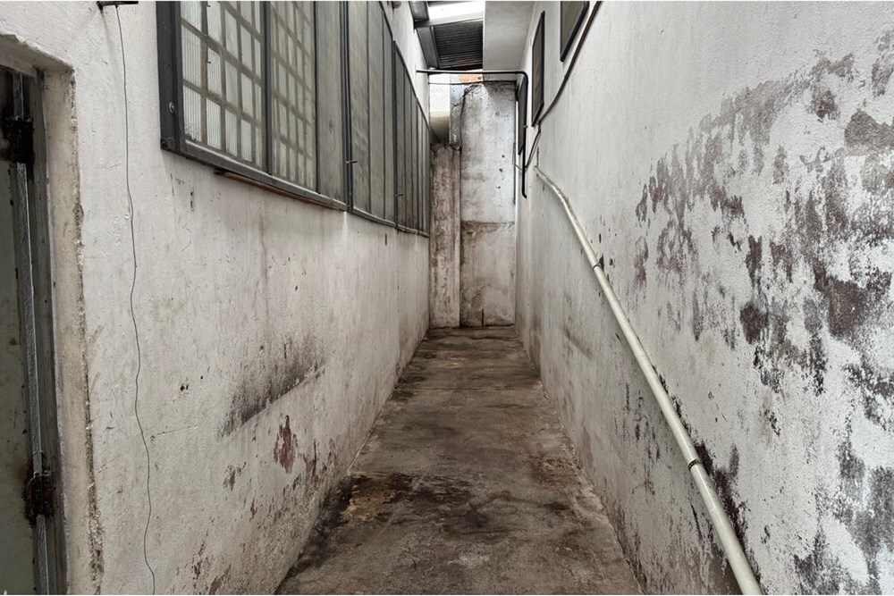 JVDVL 294 Pavilhão 601481005-176 - REMAX Comunità Exclusividades