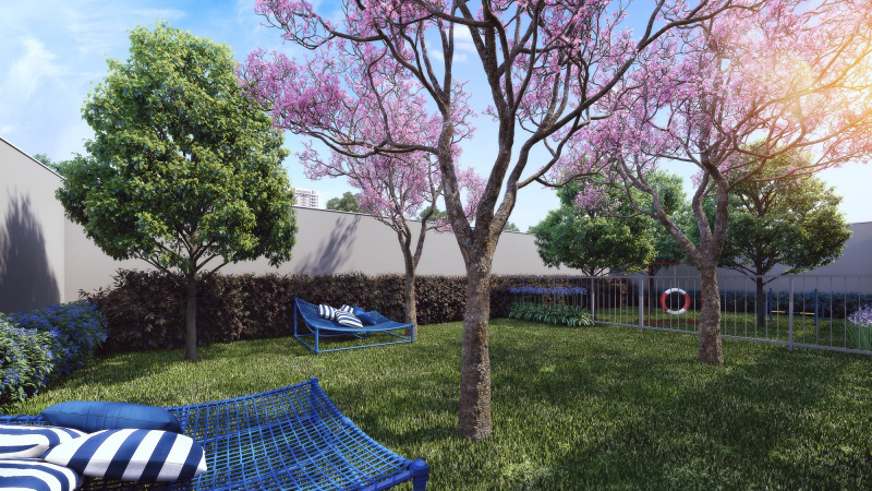 AP Moema Carinás - Zogbi