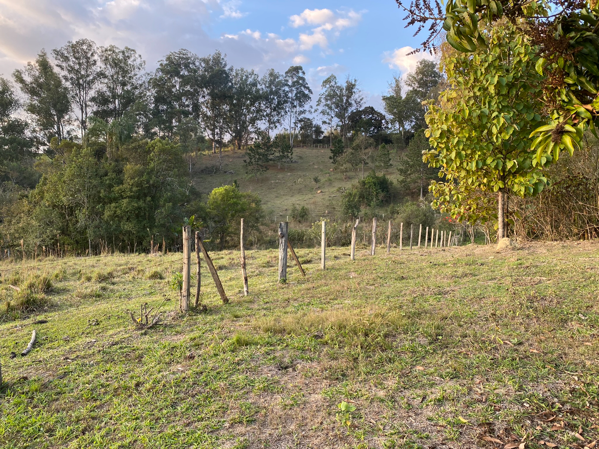 Residencial Multifamiliar de 93000m² no bairro Centro, em Pinhalzinho | Eu Corretor