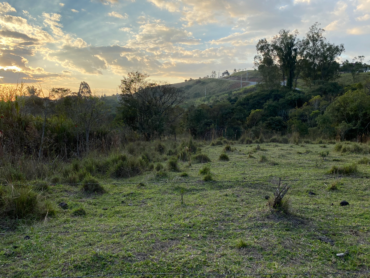 Residencial Multifamiliar de 93000m² no bairro Centro, em Pinhalzinho | Eu Corretor