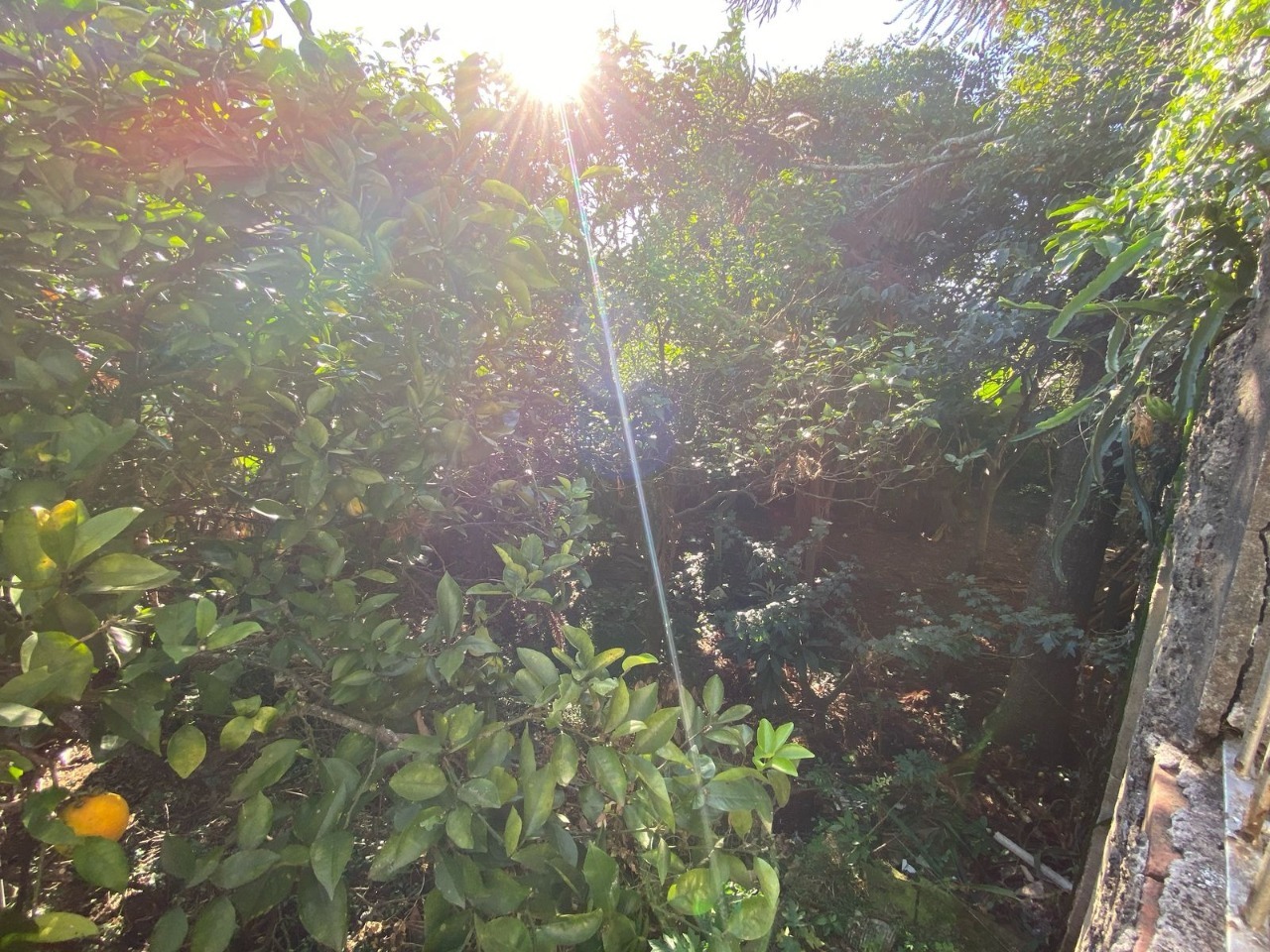 Residencial Multifamiliar de 665m² no bairro Tristeza, em Porto Alegre | Eu Corretor