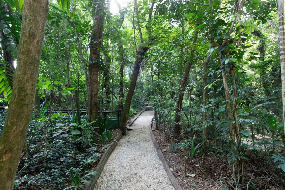 PDLC 1200 Apto 601971072-30 - REMAX Empire Exclusividades