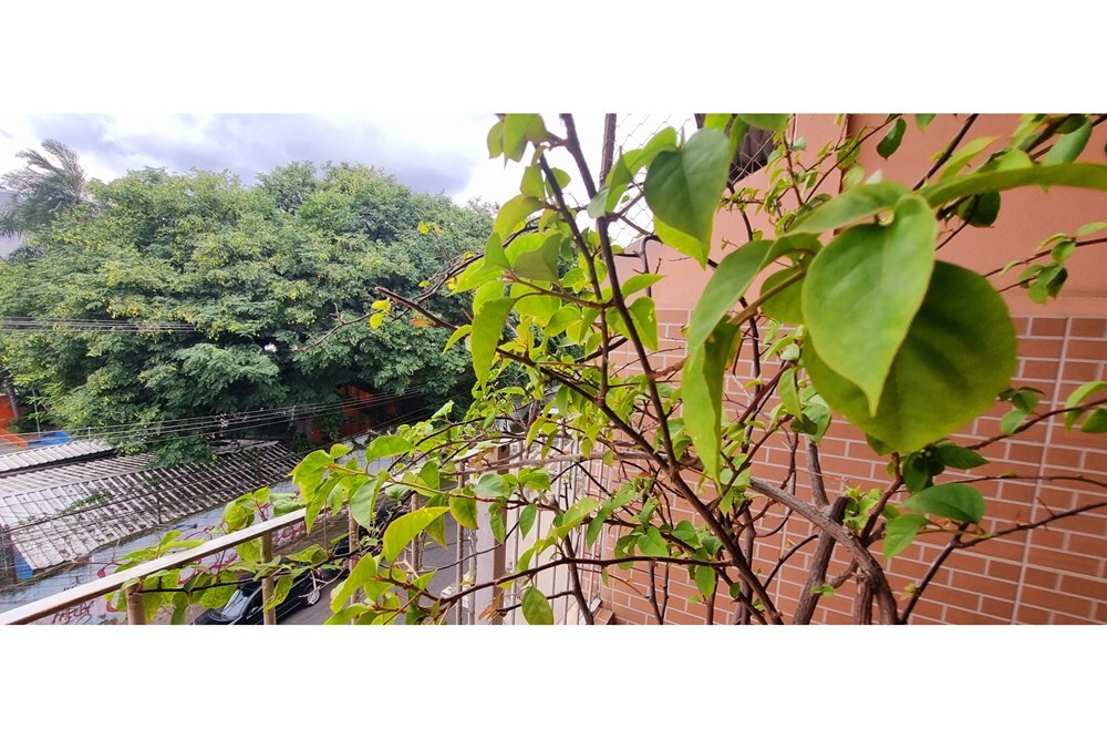 JSLADC 33 Casa 601081013-30 - REMAX Lepex Exclusividades