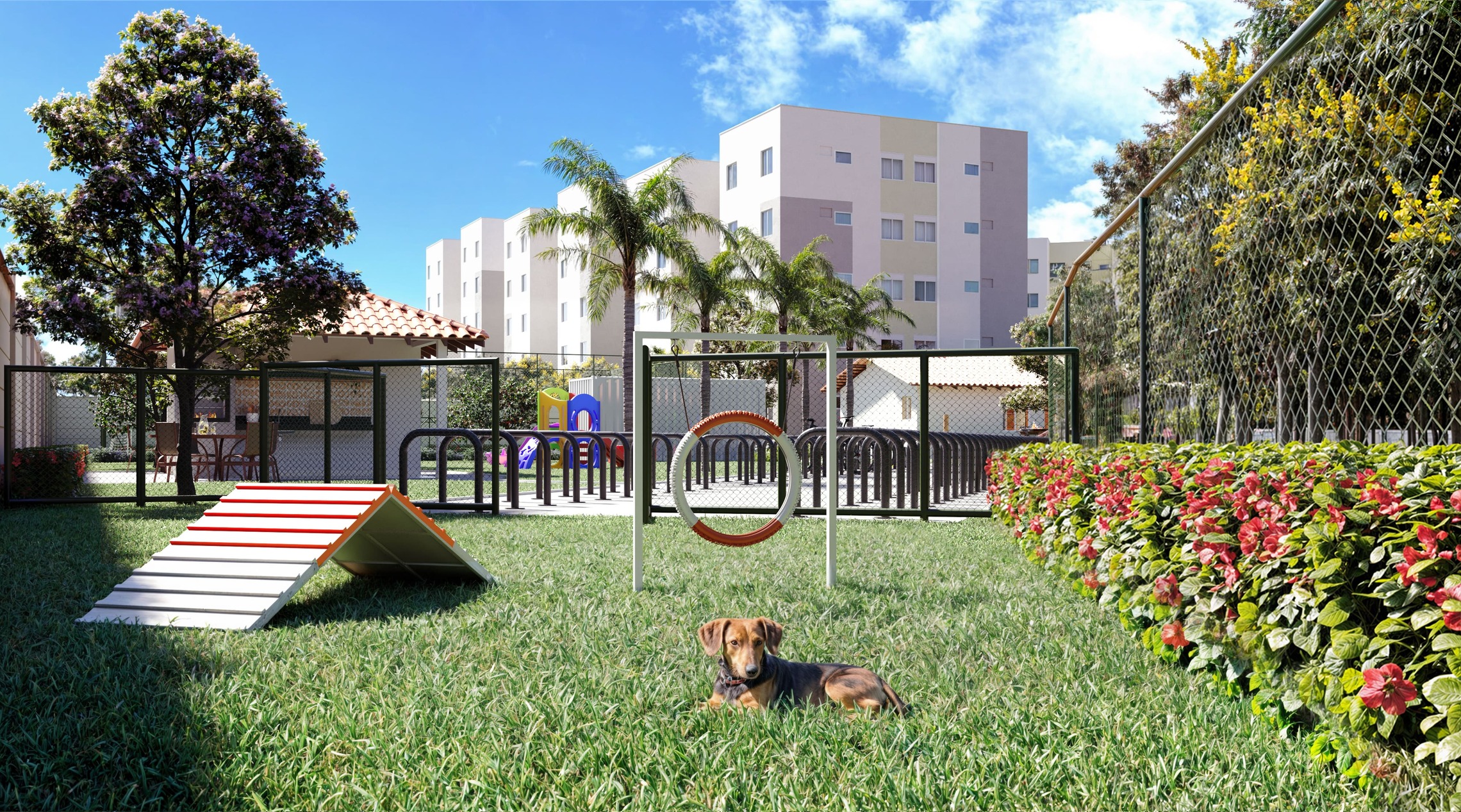 Pet place