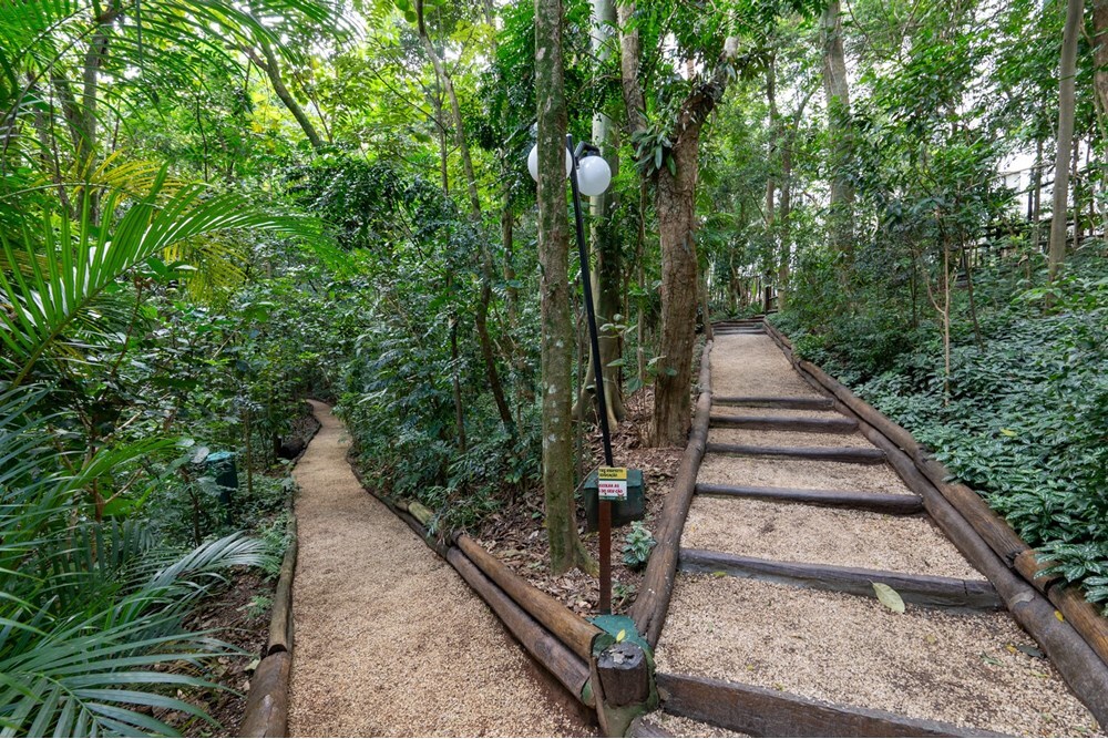 VADHPDM 290 Apto 601131003-77 - REMAX Ares Exclusividades