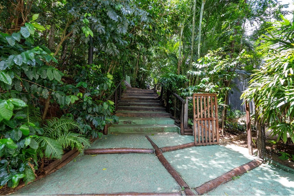 VADHPDM 290 Apto 601131003-77 - REMAX Ares Exclusividades