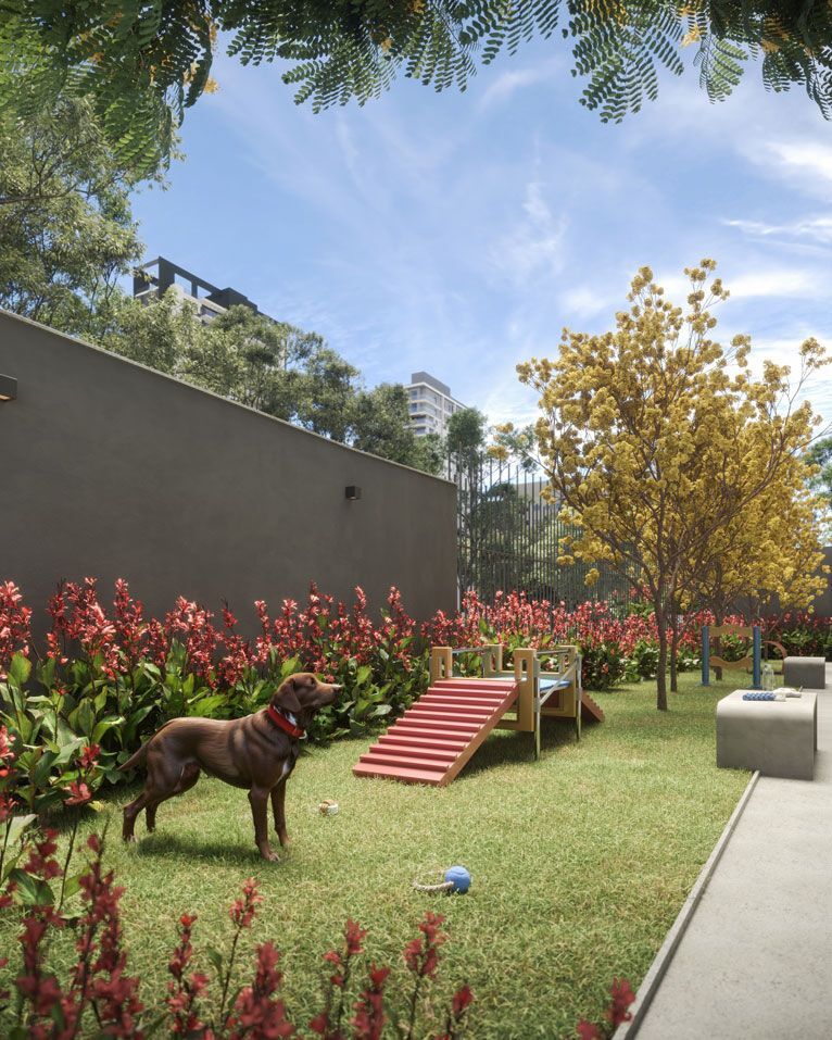 Today Paraíso - Residencial Today Paraíso - Residencial