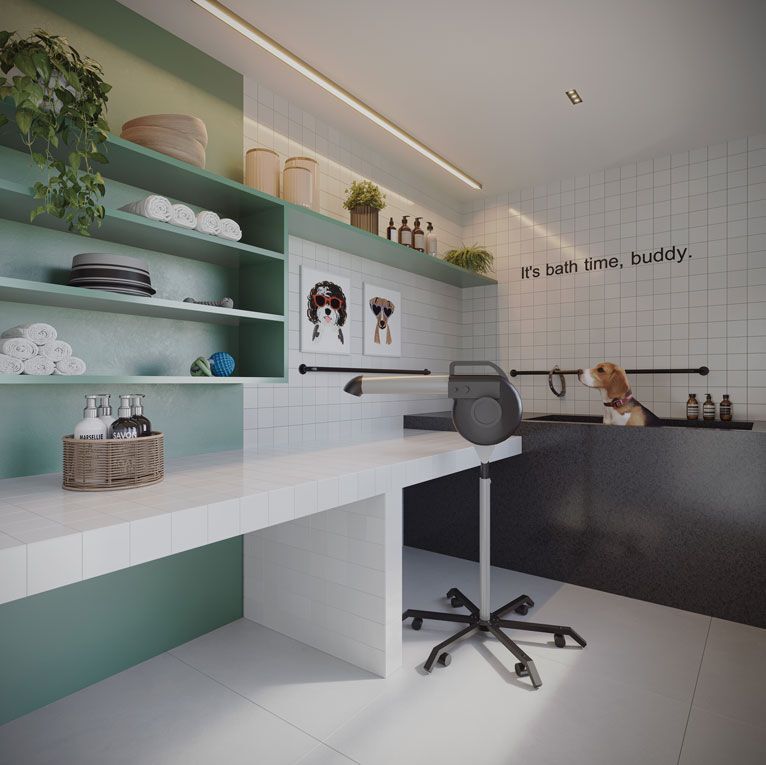 Today Paraíso - NR Today Paraíso - NR