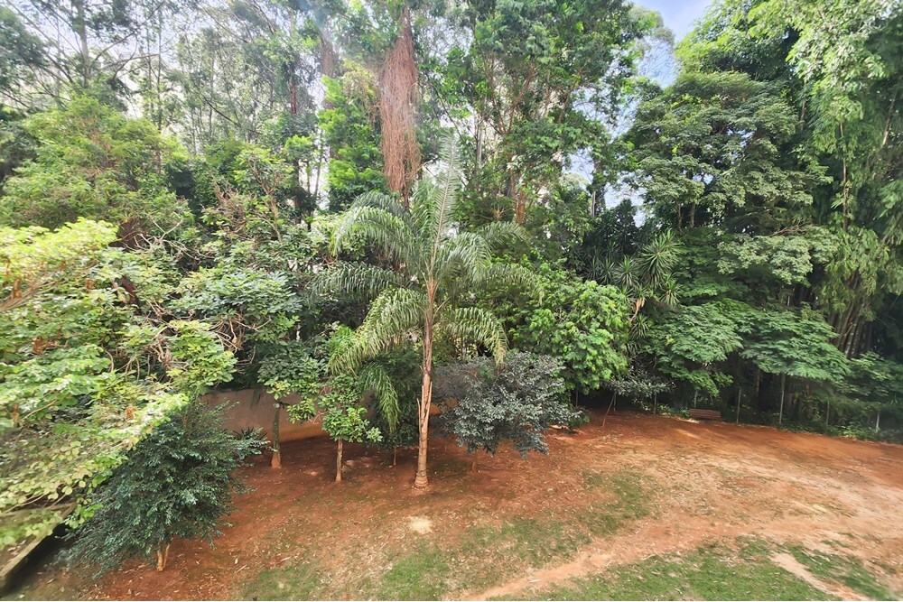 JMRJMN 315 Apto 601461011-74 - REMAX NM Exclusividades