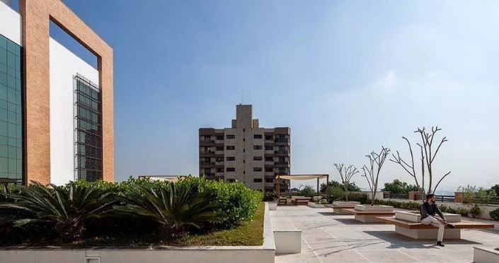 Office Garden - MDL SP Office Garden - MDL SP