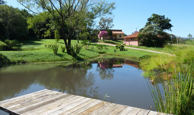 Quinta do Pinhal - FA OLIVA