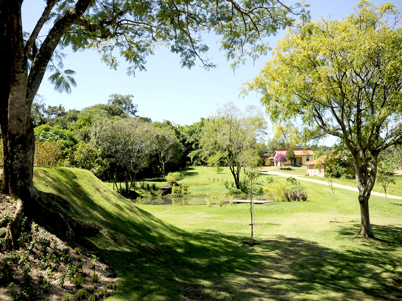 Quinta do Pinhal - FA OLIVA
