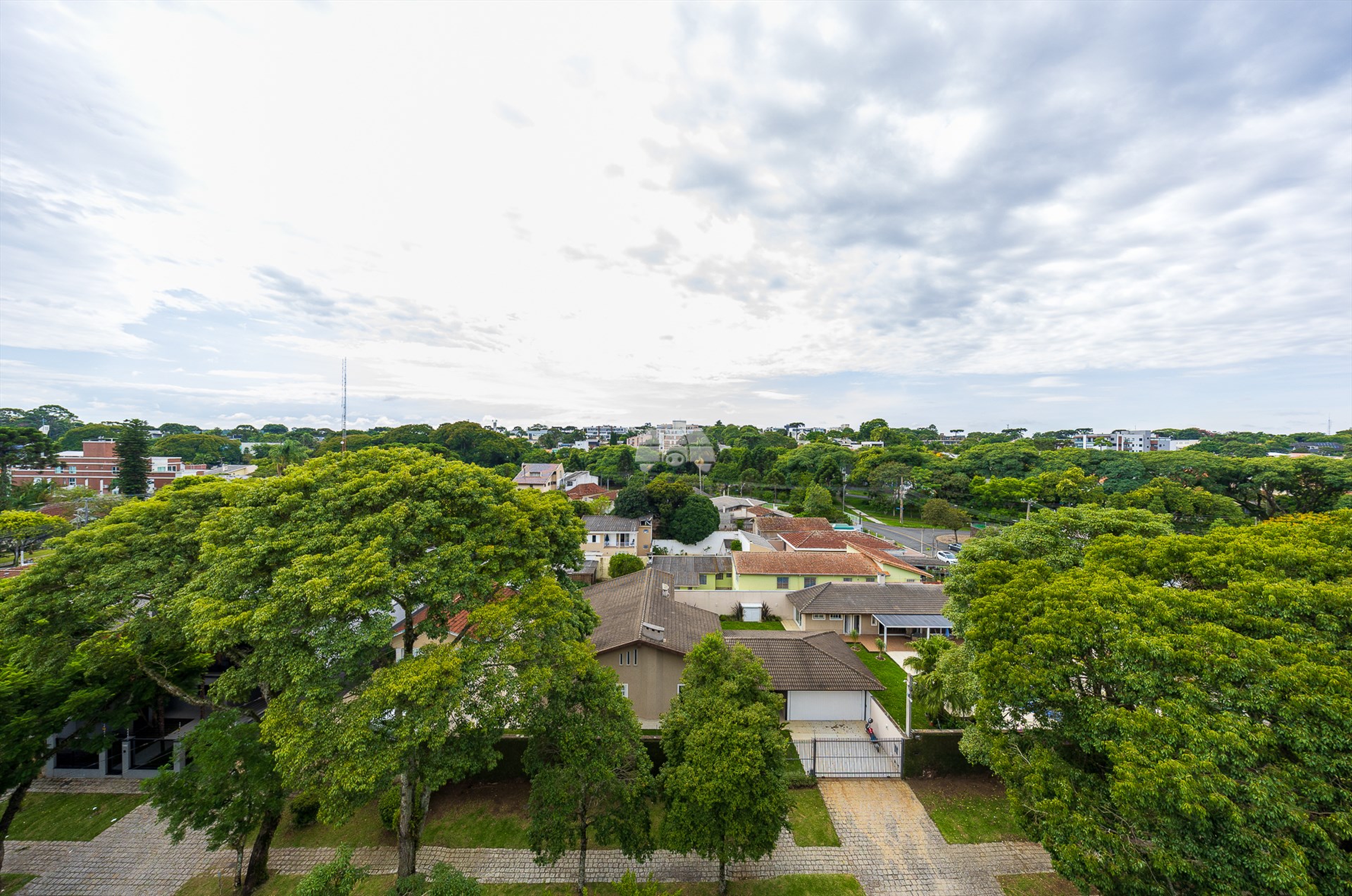 Vista Rooftop