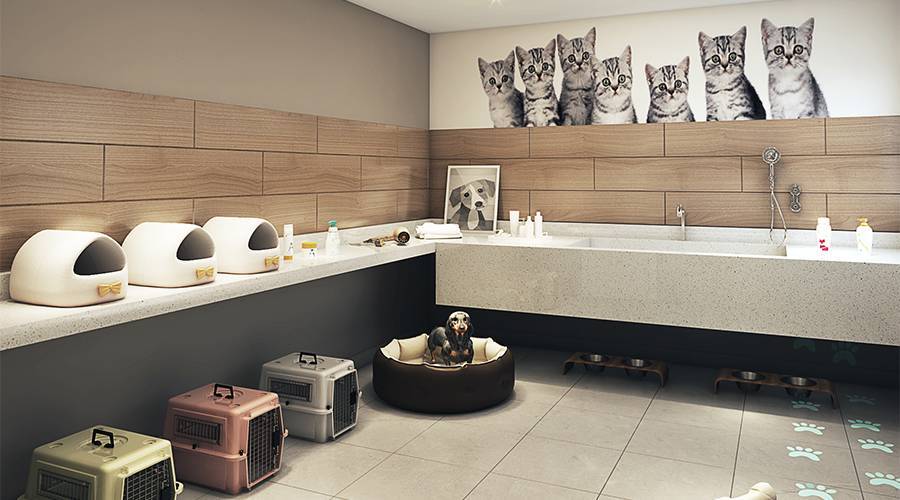 E Life Mandaqui - Econ Construtora