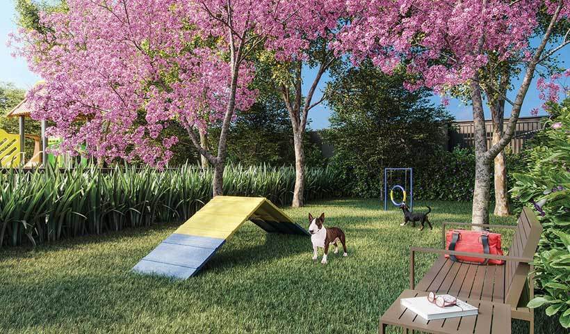 Pet place